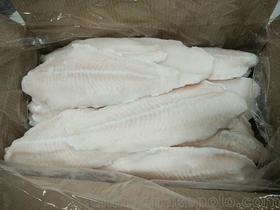 鱼类冷冻水产品价格 鱼类冷冻水产品厂家批发